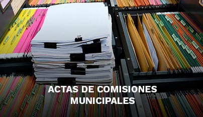 Ir a actas de comisiones municipales