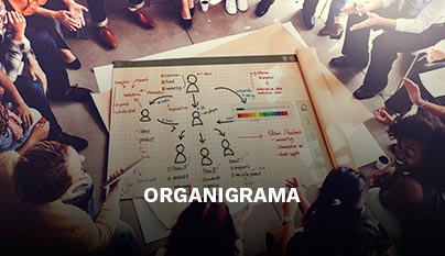 Ir a organigrama