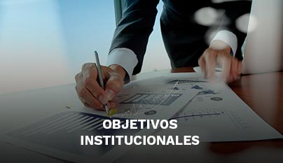 Ir a objetivos institucionales