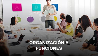 Ir a organización y funciones