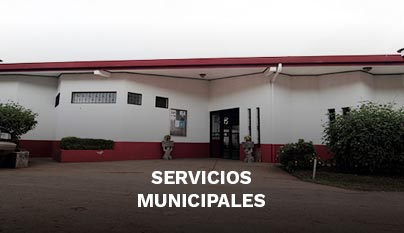 Ir a servicios municipales