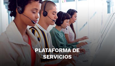 Ir a plataforma de servicios