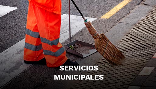 Ir a servicios municipales