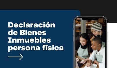 Ir a declaración de bienes inmuebles persona física