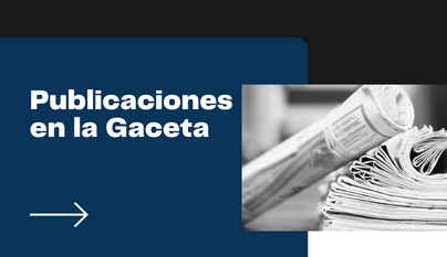 Publicaciones gaceta